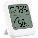 Thermometer